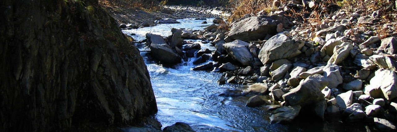 Sông Toyohira (Toyohira River)