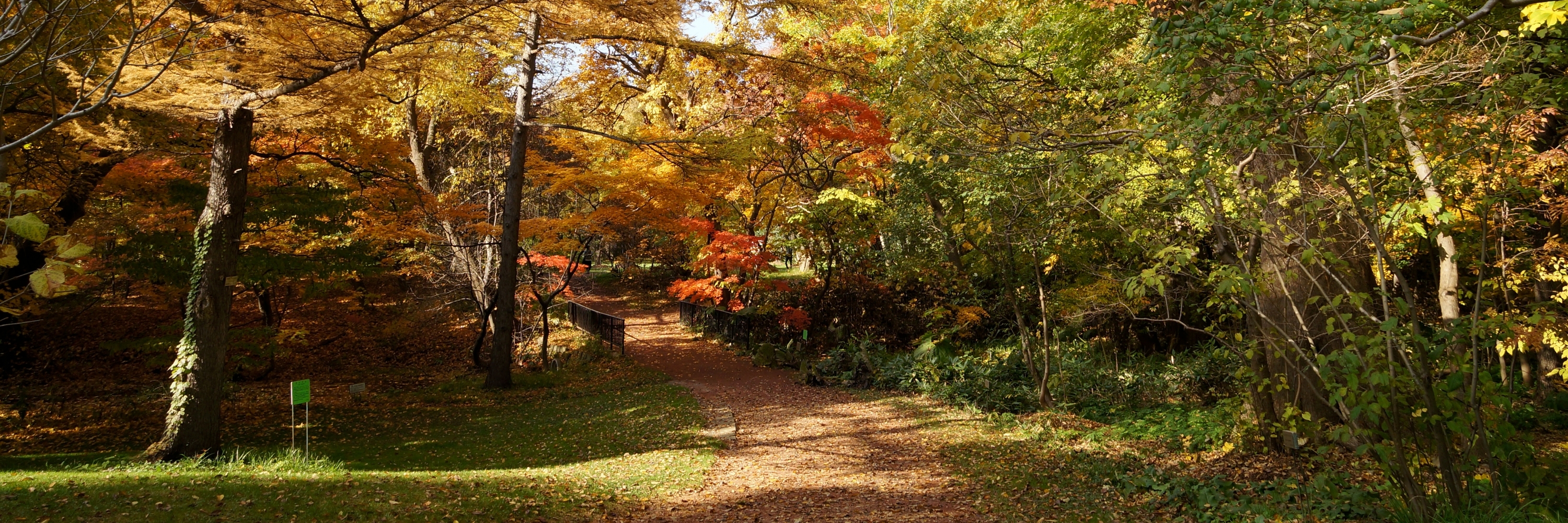 Vườn bách thảo trường đại học Hokkaidō (Hokkaidō University Botanical Garden)