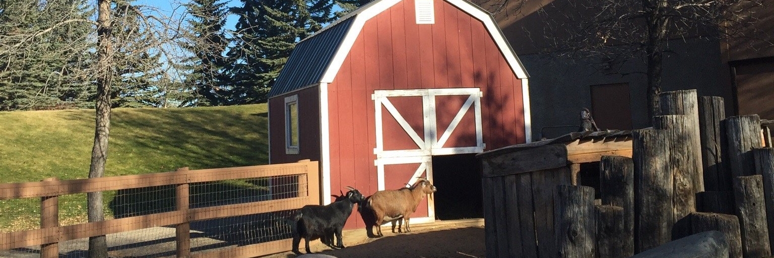 Công viên lâm nghiệp Vườn thú Saskatoon (Saskatoon Forestry Farm Park & Zoo)