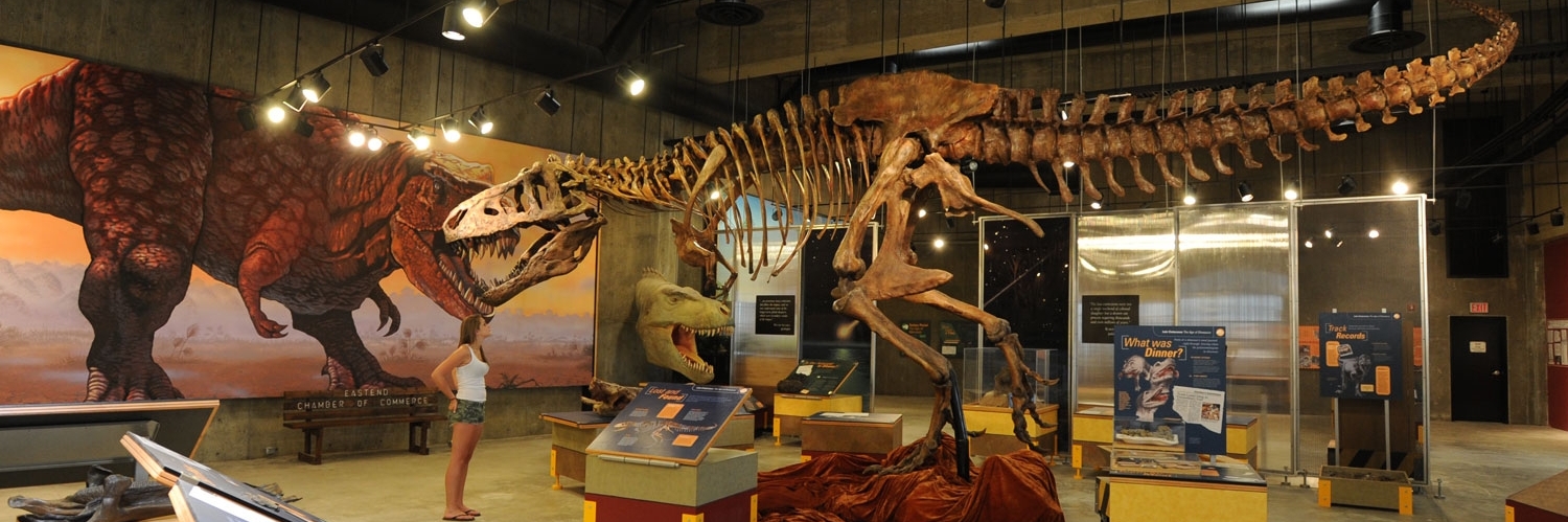 Trung tâm khám phá T.rex (T.rex Discovery Centre)