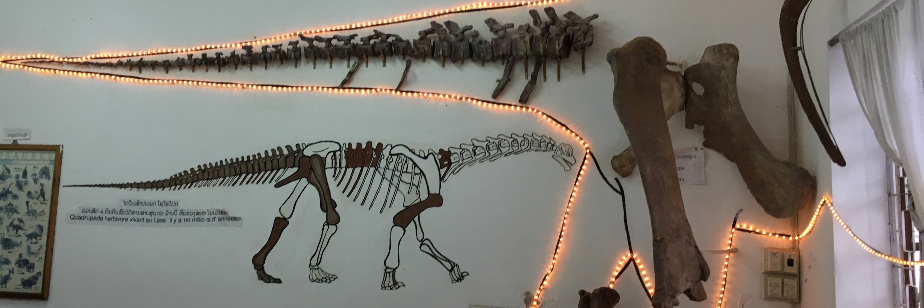 Bảo tàng khủng long Savannakhet (The Savannakhet Dinosaur Museum)