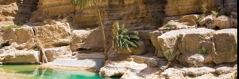 Khu bảo tồn thiên nhiên Wadi Al Khoud (Wadi Al Khoud)