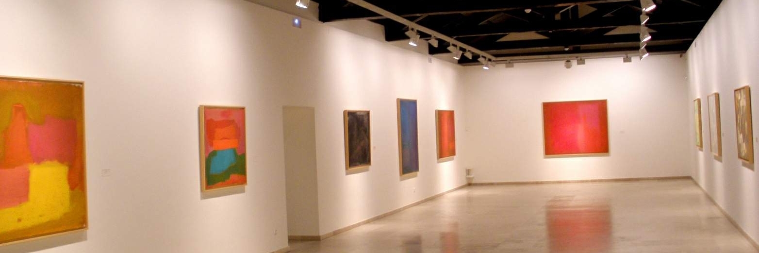 Bảo tàng nghệ thuật đương đại Esteban Vicente (Museo de Arte Contemporáneo Esteban Vicente)