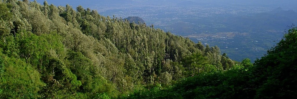 Đồi Yercaud (Yercaud Hill)