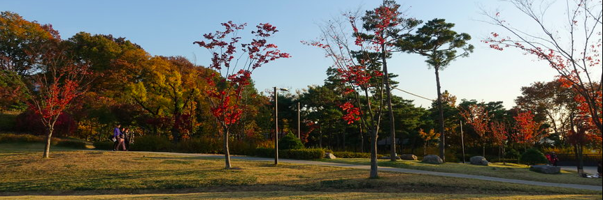 Cȏng Viên Nanshan (Nanshan Park), Seoul, South Korea (...