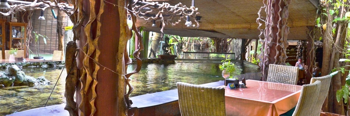 Ngôi Nhà Rắn (Snake House )