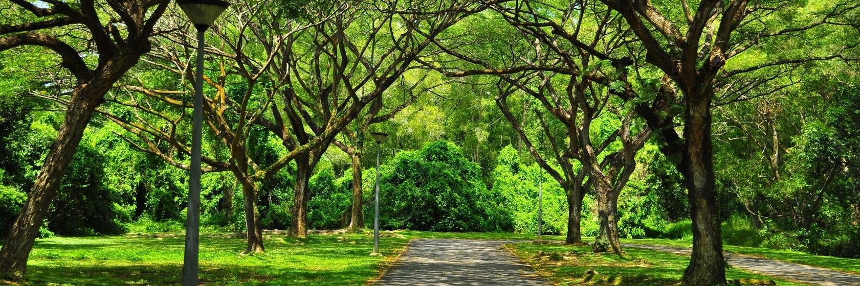 Công viên Pasir Ris (Pasir Ris Park)
