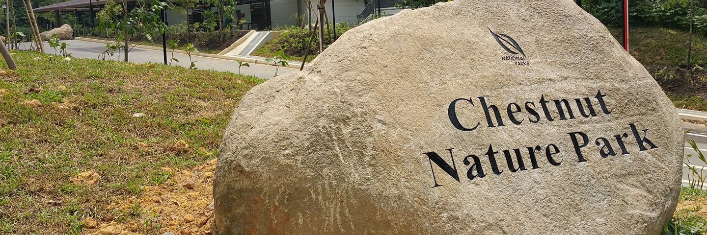 Công viên tự nhiên Chestnut (Chestnut Park)