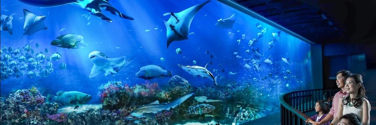 Thuỷ cung SEA (S.E.A Aquarium)