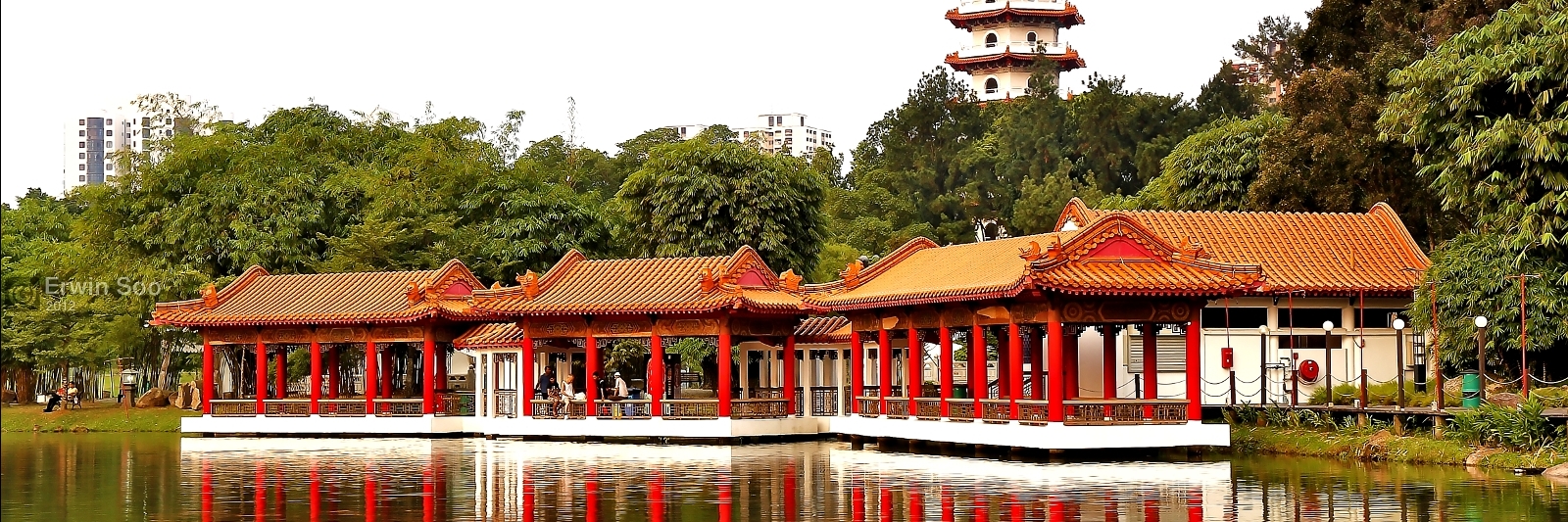 Vườn Trung Hoa (Chinese Garden)