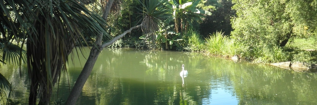 Công viên văn hóa miền Nam (Southern Cultures Park)