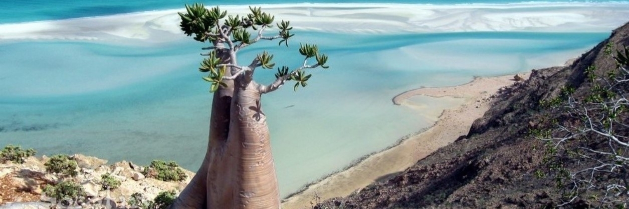 Khu bảo tồn đầm phá Qalansiyah Detwah Lagoon (Qalansiyah Detwah Lagoon Reserve)