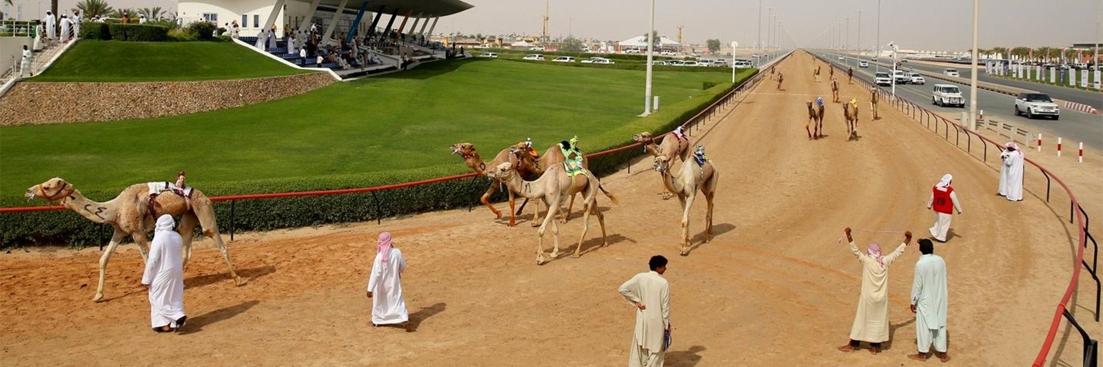 Trường đua lạc đà (Camel Racing Track)