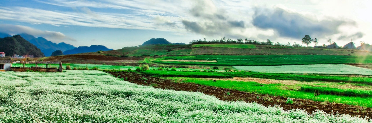 Bản Hua Tạt - Mộc Châu