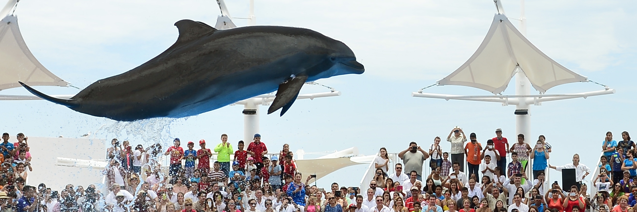 Công viên Cá heo Sonora (Sonora Dolphinarium)