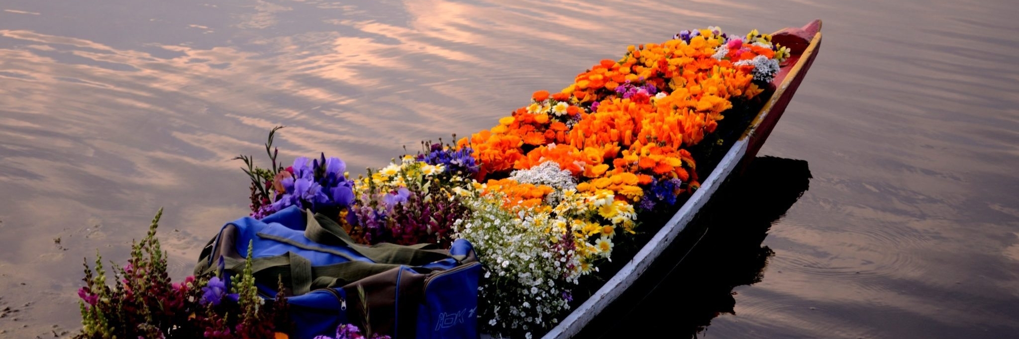 Chợ nổi hồ Dal (Floating Dal Lake Market)