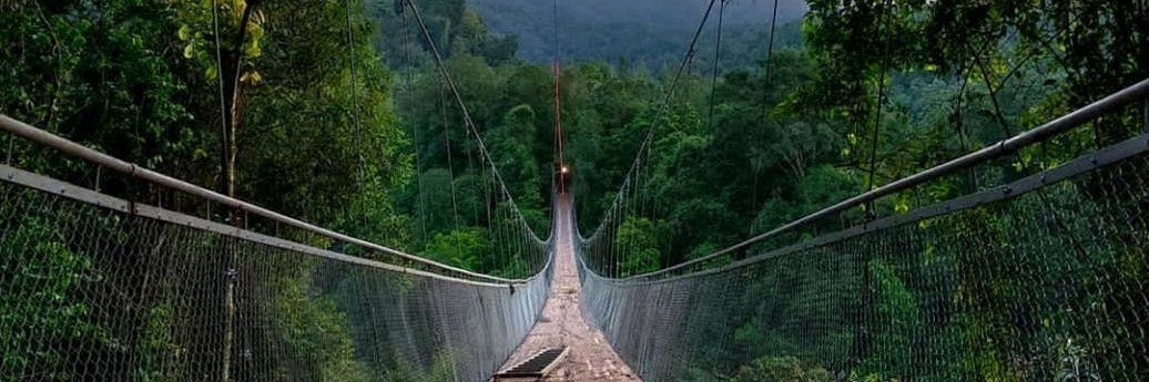 Cầu treo Gunung (Jembatan Gantung Situ Gunung)