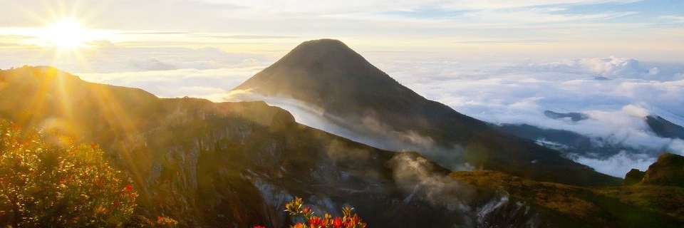 Công viên Quốc gia Gede Pangrango (Gede Pangrango National Park)