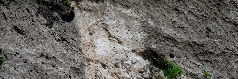 Bức phù điêu đá Merquli (Merquli Rock Relief)