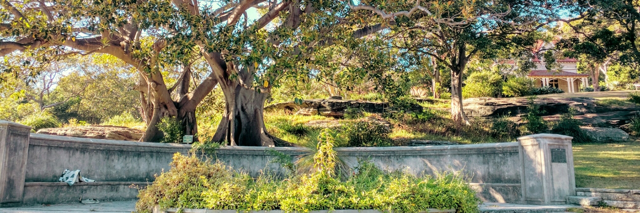 Công viên Nielsen (Nielsen Park)
