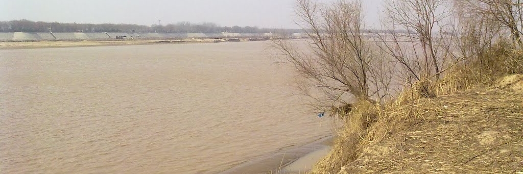 Công viên rừng Hoàng Hà (Yellow River Forest Park)
