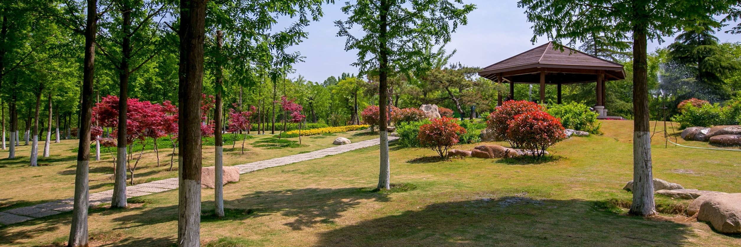 Công viên rừng Tế Nam (Jinan Forest Park)