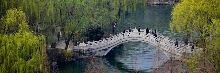 Hồ Daming (Daming Lake)