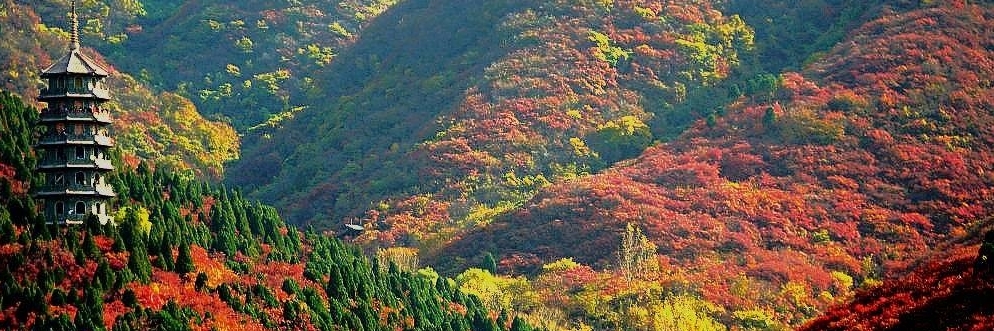Khu danh lam thắng cảnh Thung lũng lá đỏ (Red Leaves Valley)