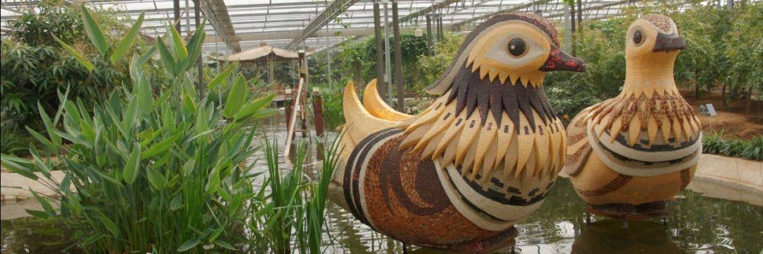 Khu thắng cảnh công viên Xueye Nongbo (Xueye Nongbo Park Scenic Area)
