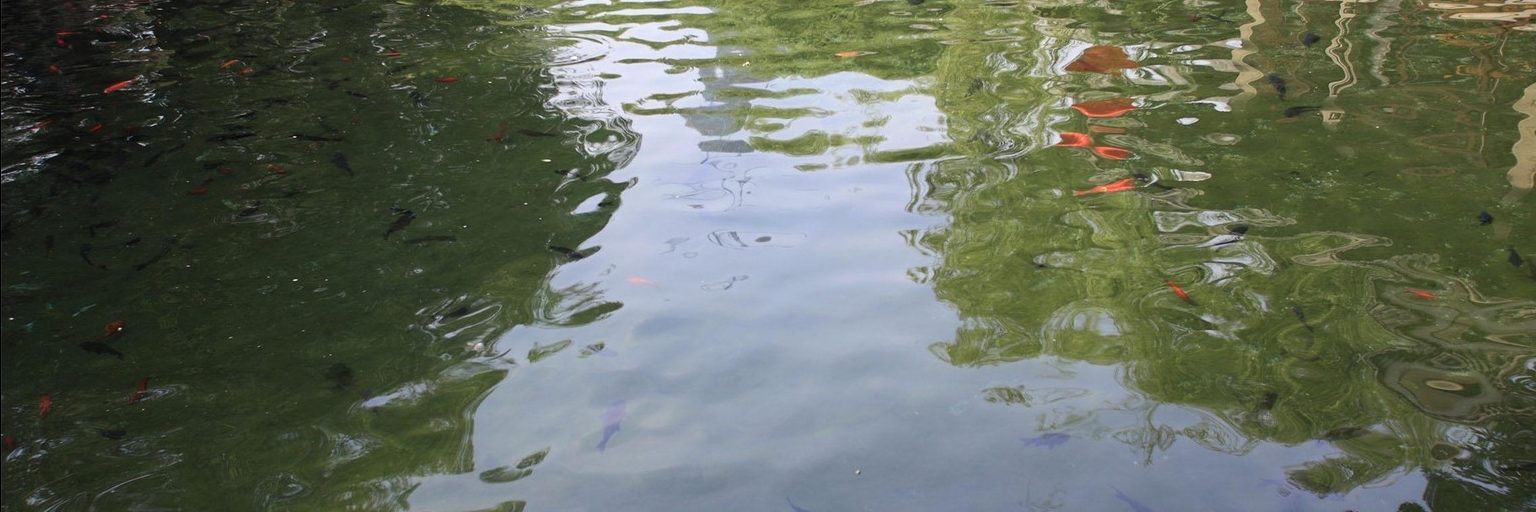 Suối Mapao (Mapao Spring)