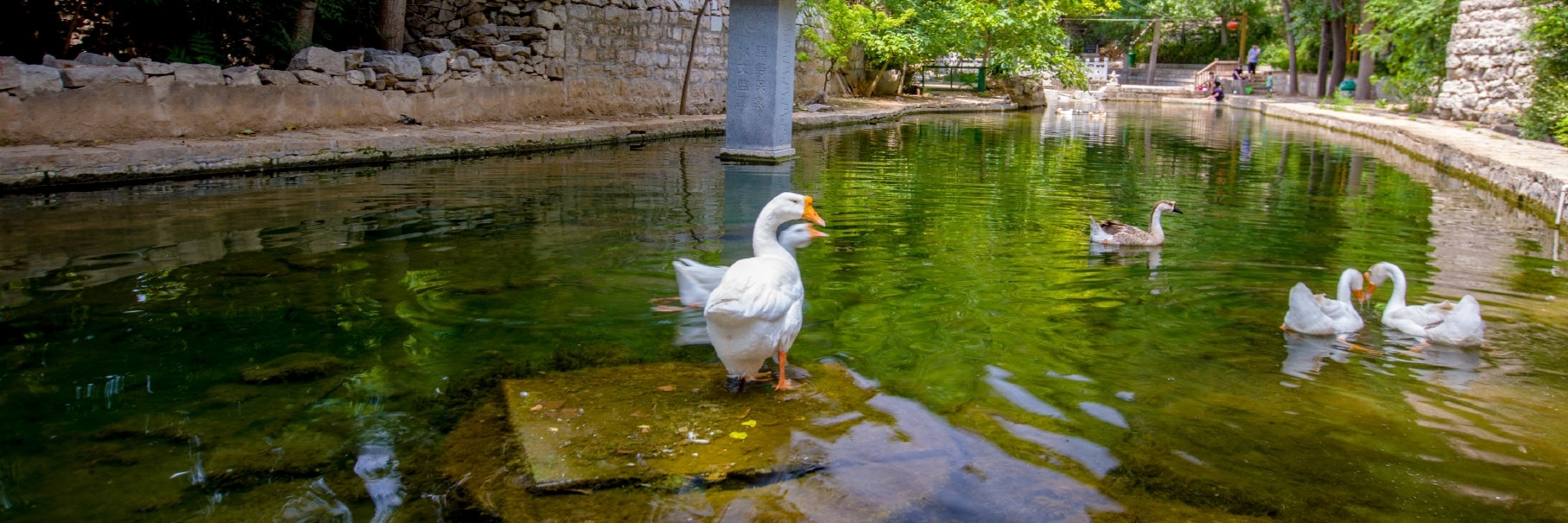 Suối Shuyuan (Shuyuan Spring)