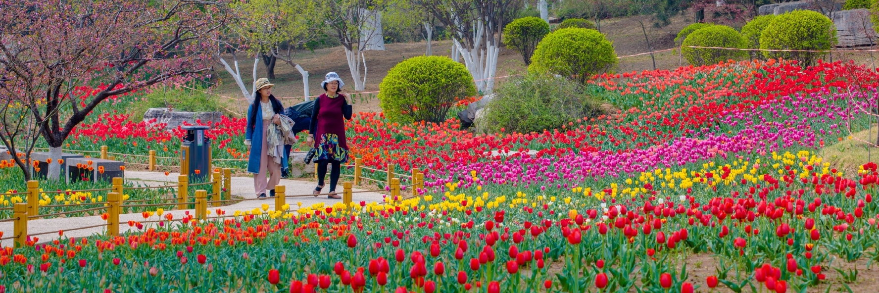 Vườn bách thảo Tế Nam (Jinan Botanical Garden)