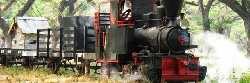Đầu máy xe lửa nông nghiệp cổ xưa (Agro-tourism antique locomotive)