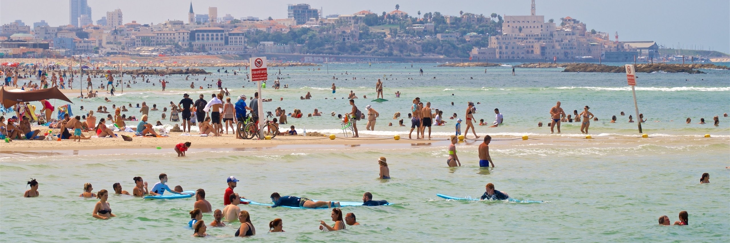 Bãi biển Gordon (Gordon Beach)