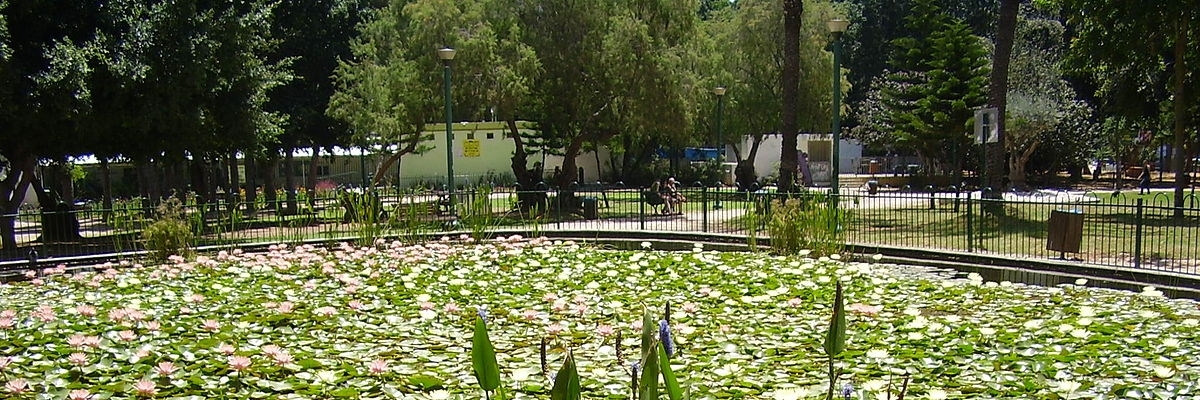 Công viên Meir (Meir Park)