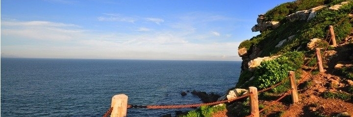 Cảng Dương Mai (Yangmeikeng)
