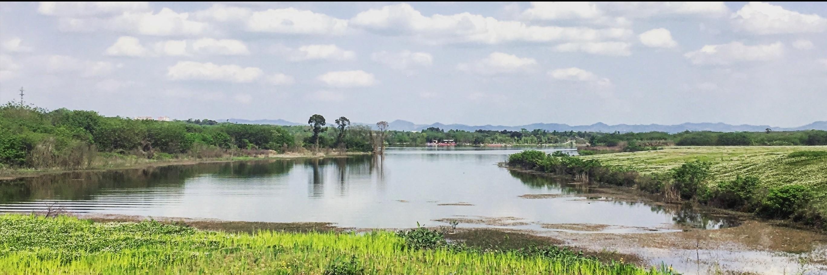 Công viên đầm lầy hồ Qinglong