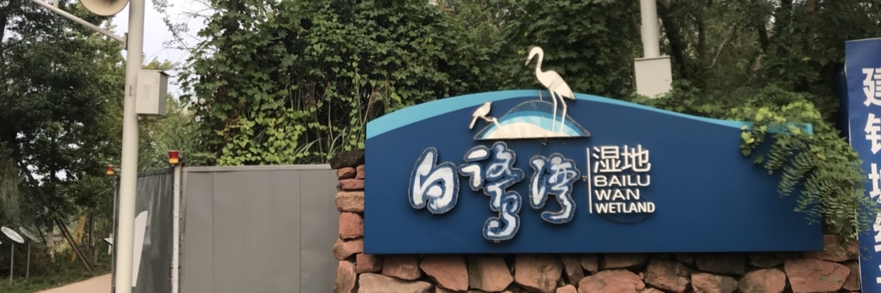 Công viên đầm lầy sinh thái vịnh Jinjiang Egret