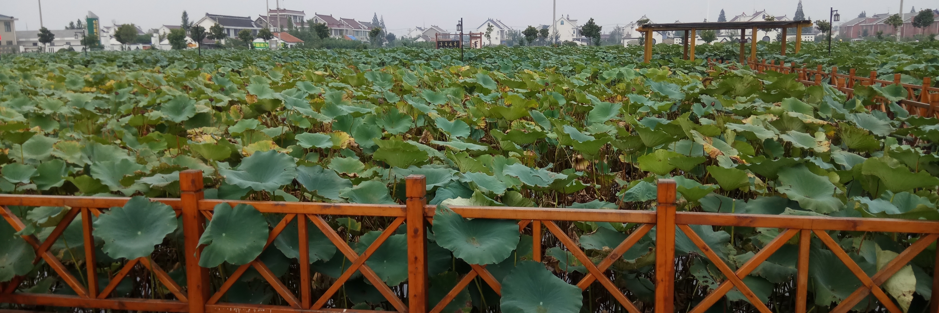 Khu danh lam thắng cảnh Lotus Pond