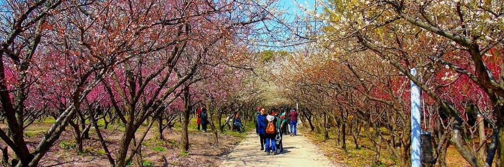 Khu du lịch thị trấn Sanshenghua