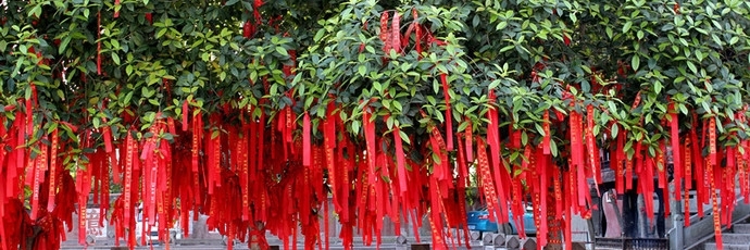 Khu thắng cảnh núi Jintang Yunding