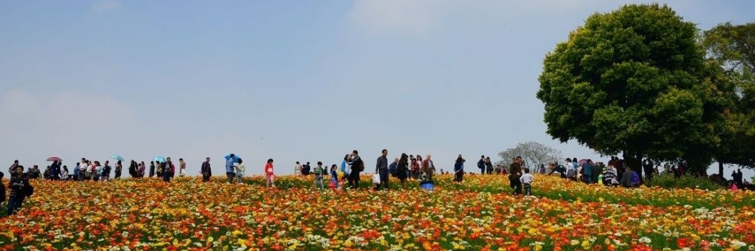 Khu thắng cảnh sinh thái hồ Shixiang