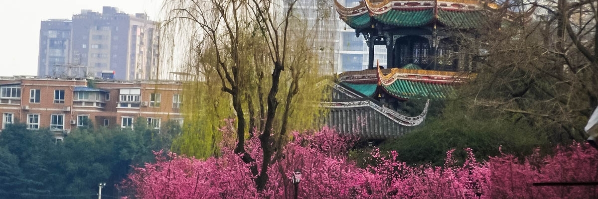 Vọng Giang Lầu