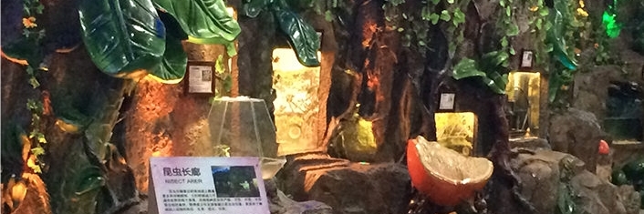 Bảo tàng côn trùng tự nhiên Thượng Hải (Shanghai Nature Wild Insect Museum)