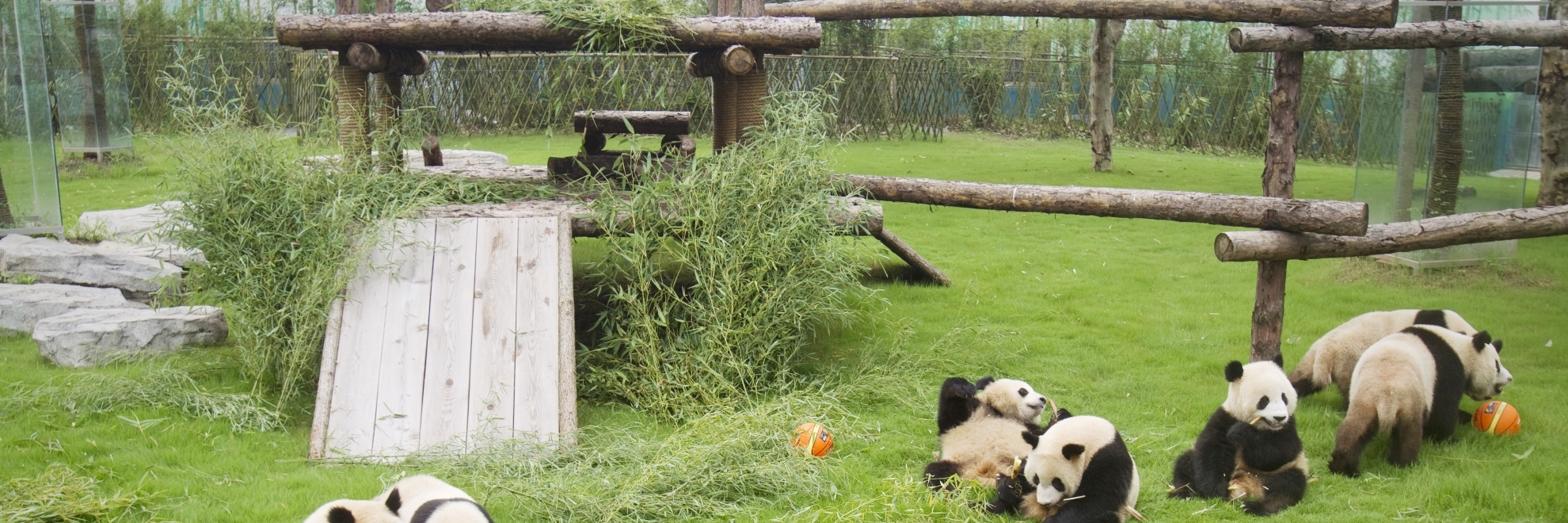 Cộng viên hoang dã Thượng Hải (SHANGHAI WILD ANIMAL PARK)