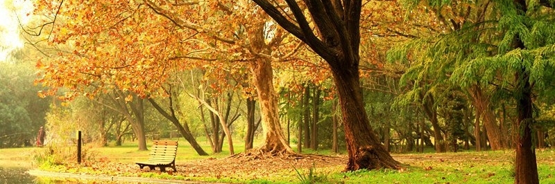 Công viên rừng Gongg(Shanghai Gongqing Forest Park)