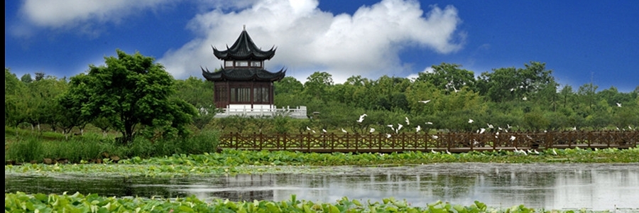 Công viên rừng quốc gia Gulf Thượng Hải .(Shanghai Gulf National Forest Park)