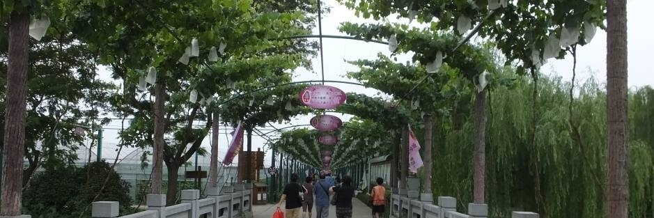 Công viên vườn nho Malu (Malu Grape Theme Park)