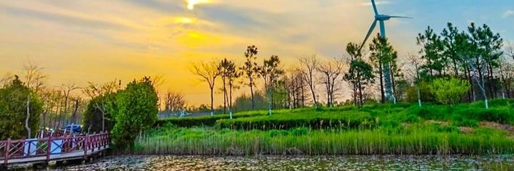 Đảo Chongming (Chongming Island)