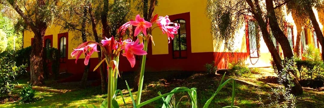 Vườn bách thảo Tizatlan (Tizatlan Botanical Garden)